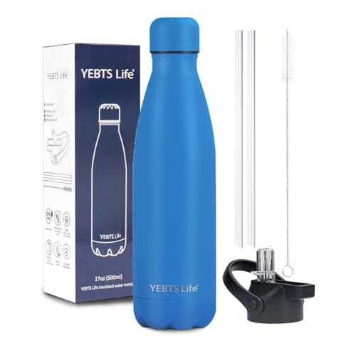 Insulated Water Bottle, 17oz Stainless Steel Water Bottles with straw lid, Metal Sports Water Bottles for Boys,Girls, Double Wall Vacuum BPA-Free Flask for School, Sports (Ocean Blue) - color: 1 Pack-Ocean Blue, size: 17 Ounces