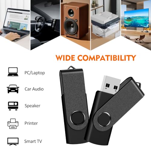 256MB USB Flash Drive 10 Pack, AreTop Premium USB2.0 Thumb Drives Bulk | [ NOT 256GB ] USB Pendrive Memory Stick Jump Drive 10 Pack Flash Drives Bulk for Date Storage (10PCS 256MB, Black) - size: 256MB, style: 10P-Black-B
