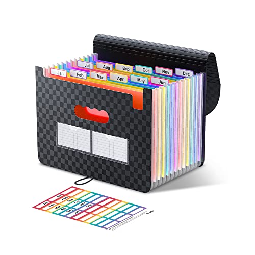 ThinkTex Accordion File Organizer, 12 - Pocket Expanding File Folders | for Receipts, Bills & Taxes Organizer, Portable Letter/A4 Size Document Holder for School, Office, home with Colorful tabs - color: Black Matt