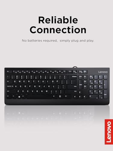 Lenovo 300 USB Keyboard, Wired, Adjustable Tilt, Ergonomic, Windows 7/8/10, GX30M39655, Black - style: Keyboard