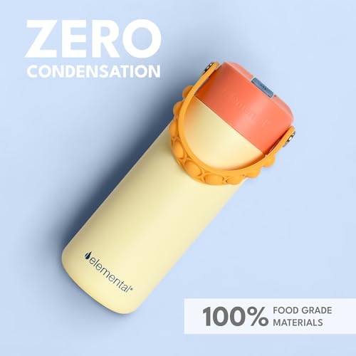 Elemental Insulated Kids Water Bottle, Stainless Steel Water Bottle with Straw Lid & Pop-It Handle, Leak-Proof Water Bottles for School, Boys or Girls, Travelling and Sports, 18oz - Peach Sand - color: Peach Sand