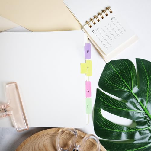 360 Pieces Sticky Blank Monthly Index Tabs Double-Sided Page Markers, Self-Adhesive & Writable Notes Flags for Labeling/Marking/Planing - Multi