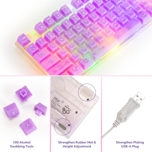 Wired LED Gaming Keyboad and Mouse Combo, 10 RGB Backlit Effects for PC | 104 Keys Light Up, Silent, Transparent, Anti-ghosting, Purple Gaming Mouse and Keyboard for Laptop Xbox PS4 PS5 Gamers Work