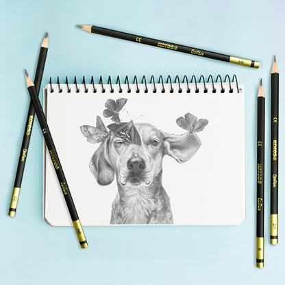 Kores - Grafitos: Graphite Pencils Different Grades Set for Kids and Adults with Soft Lead, Triangular Shape, School and Art Supplies for Writing, Drawing and Sketching, Set of 12 in Metal Box