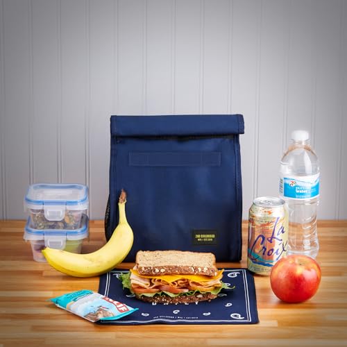2nd Childhood Insulated Lunch Bag for Men, Durable & Reusable, Blue | Slim lunch bag with carry handle, two mesh side pockets and a back slip pocket; insulated liner keeps food cool - color: Blue