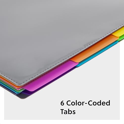 Smead 12 Pocket Poly Project Organizer,Letter Size,1/3-Cut Tab,Gray with Bright Colors (89207),(Pack of 10) - size: Letter (Pack of 10)