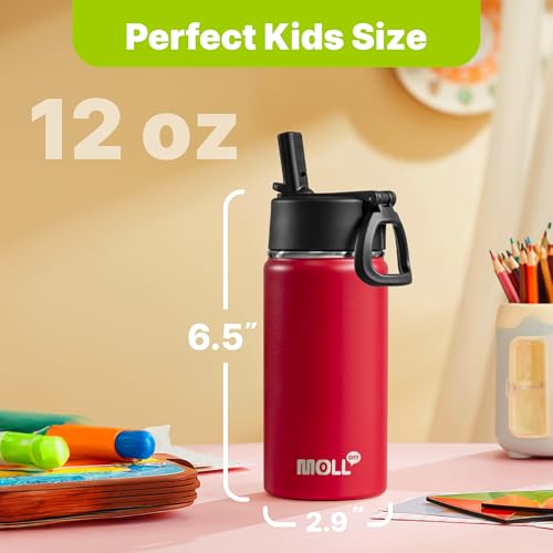 Kids Water Bottle with Straw-12 oz Stainless Steel Double Wall Vacuum Insulated Water Bottles for Back to School, Travel Leak-Proof Metal Water Flask (Canyon Red) - color: Canyon Red, size: 12 Ounces