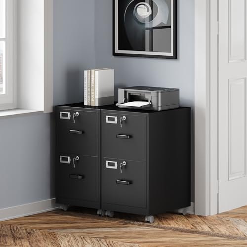 BYNSOE 2 Drawers File Cabinet with Lock Metal Vertical File Cabient with Wheels Mobile File Cabinet for Office Home Legal/Letter/a4 Size Require Assembly - color: Black, size: 2 Drawers-wheels