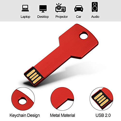 RAOYI 10 Pack 4GB USB Flash Drive USB 2.0 Metal Key Shape Memory Stick Thumb Drive Pen Drive-Red - color: Red, size: 4GB