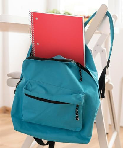 Dunwell 1 Subject Spiral Notebook (Red), Plastic Cover, 100 Sheets (200 Pages) 8x10.5 Paper, Wide Ruled for Easy Writing, 3-Hole Punched Perforated Pages, Poly Pocket Dividers - color: Red