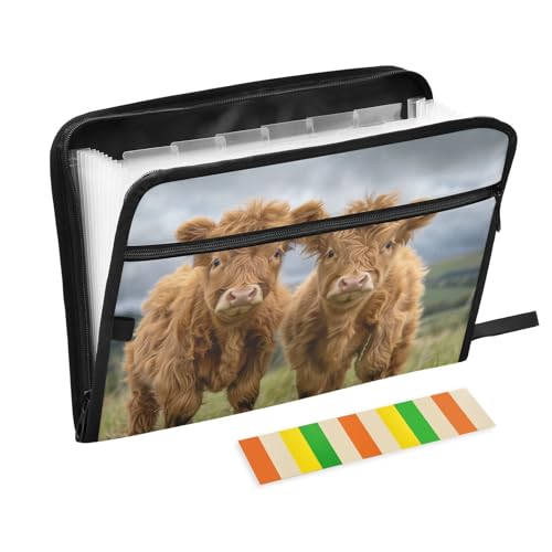 Cattle Highland Cow Water-Repellent Expandable File Folder 13-Pocket Accordion Organizer with Front Zipper Pocket for Pens Ideal for Home Office School Travel - color: Cattle Highland Cow