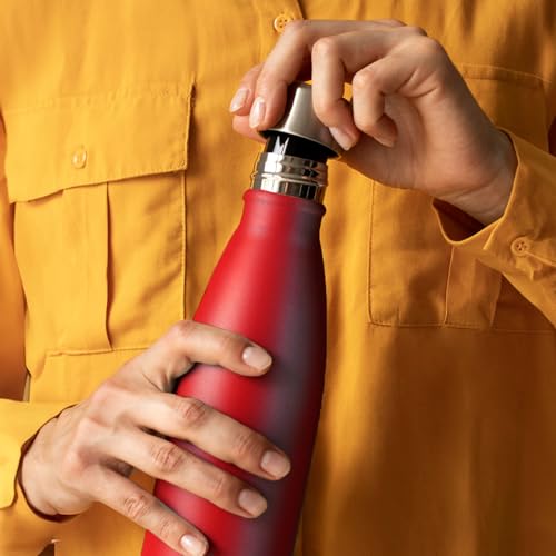 Mont-Clair Stainless Steel Water Bottle, Vacuum insulated - BPA Free, 12h Hot & 24h Cold Drinks, Metal Water Bottle 17 oz Leakproof, Ideal for Adult, Kids, Running - Red - color: Red, style: 17 Ounces