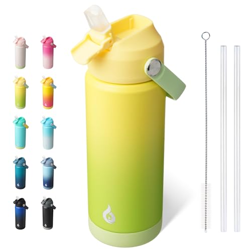 BJPKPK Insulated Water Bottle with Straw Lid, 18oz Thermo Water Bottles, Flex Handle & Non-slip Boot, BPA Free Leak Proof Stainless Steel Metal Thermo, Tumblers, Cups,Fresh Green - color: Fresh Green, size: 18 Ounces