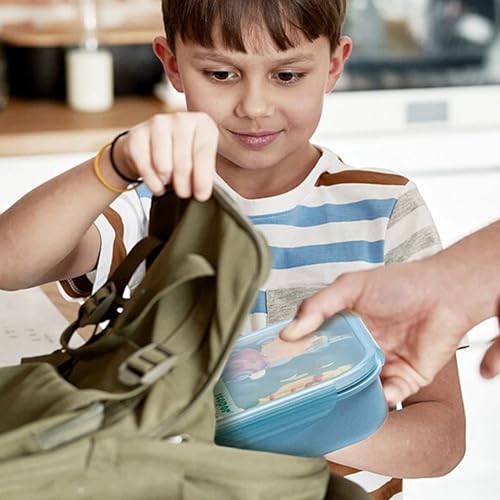 Itopor Bento Box for Kids & Adults, Lunch Box 46 oz, Pale Blue | Wheat straw material, BPA-free, leakproof, 3 compartments, microwave & dishwasher safe, for school, office & travel - color: Pale Blue