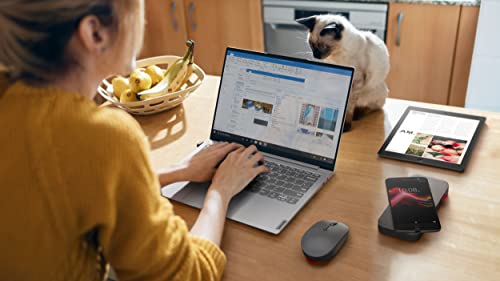 Lenovo Go Multi-Device Wireless Mouse, 2.4GHz Nano USB-C Receiver, Bluetooth, Adjustable DPI, USB-C Rechargeable Battery, Qi Wireless Charging, Ambidextrous, GY51C21211, Grey - color: Grey
