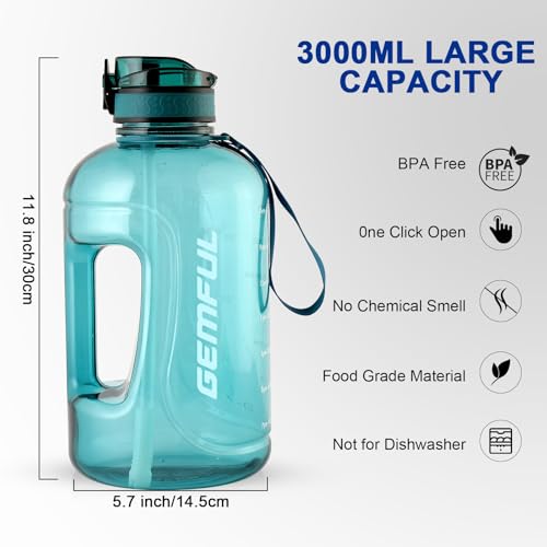 GEMFUL 2 Pack 3 Liter Water Bottle with Straw 101oz BPA-Free Leakproof Water Jug with Time Marker Handle for Gym Fiteness