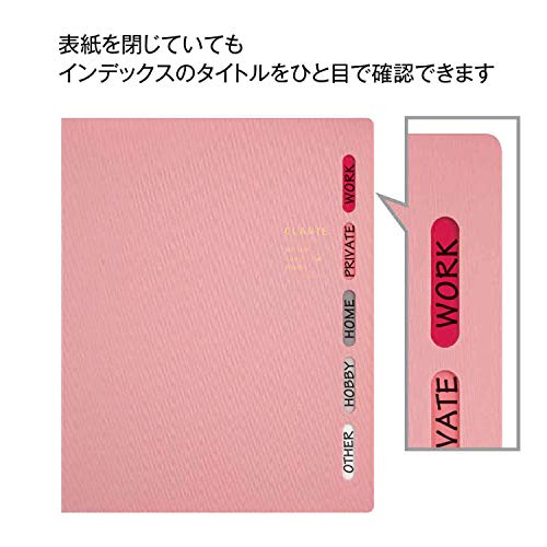 Maruman CLARTE 26‑Ring Binder with 5 Index Windows & Matching 5‑Tab Dividers, B5 Size, 7.17" x 10.12", Includes 10 Loose Leaf Ruled Sheets and Clear Storage Pocket, Holds Up to 120 Sheets, Pink - color: Pink, size: B5