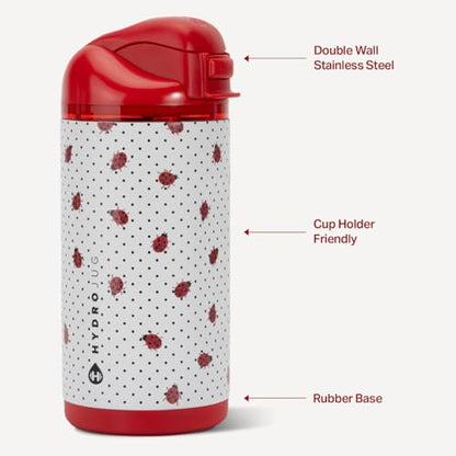 HydroJug Ease2o 14oz Kids Water Bottle with Straw & Chug Lid, Ladybyg - color: Ladybug