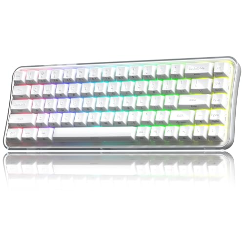 Womier Q61 PRO Wireless Keyboard with RGB Backlighting, 60% Mechanical Gaming Keyboard, Hot-Swappable Creamy Keyboard for PC, BT 5.0/2.4GHz/USB C, OEM Profile, Side-Engraved PC+ABS Keycaps - White - color: White