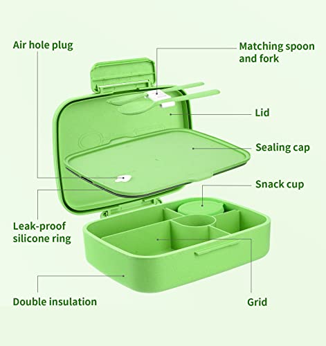 Bento Lunch Box with Kids/Adults, 5 Compartments Leakproof Lunch Container with Dressing Cup, Eco-Friendly Double Insulated Boxes, Dishwasher and Microwave Safe, BPA-Free (green) - color: Green