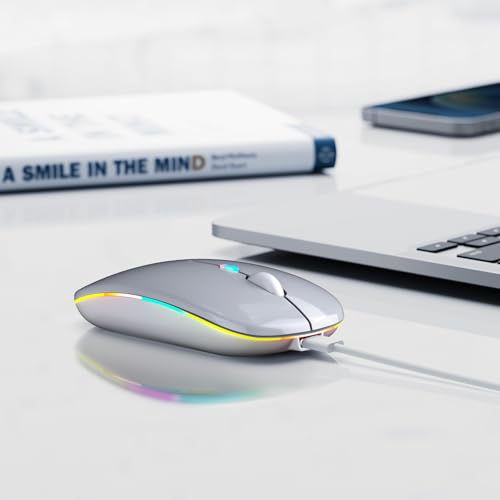 Wireless Bluetooth Mouse, Rechargeable, LED, Silent, Ultra-thin Design (Bluetooth 5.2 and 2.4GHz USB Receiver) | Portable Computer Mouse for Laptops, iPads, MacBooks and Apple Devices (Silver) - color: Silver