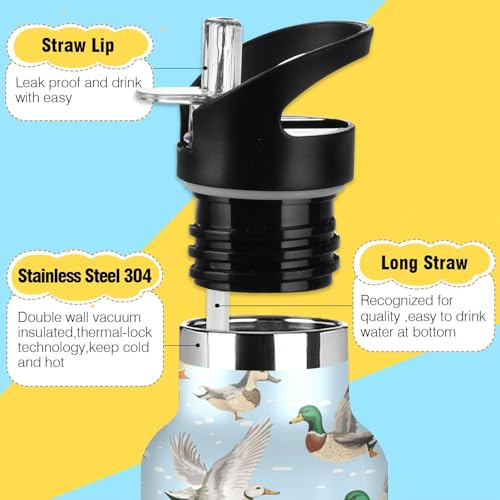 Mallard Ducks 20 Oz Water Bottle with Straw Kids Insulated Stainless Steel Sports Water Cup Metal Flask - color: Multi01
