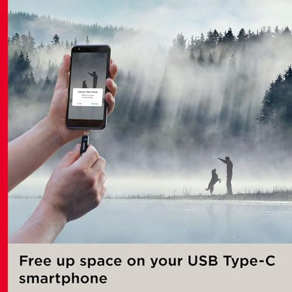 SanDisk 32GB Ultra Dual Drive Go USB Type-C Flash Drive, Black - SDDDC3-032G-G46 - size: 32GB