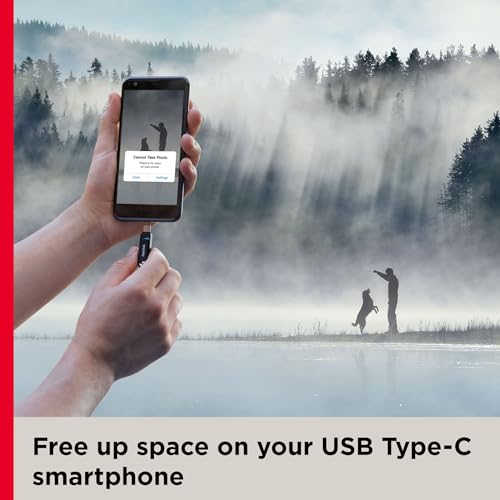 SanDisk 64GB Ultra Dual Drive Go USB Type-C Flash Drive, Black - SDDDC3-064G-G46 - size: 64GB