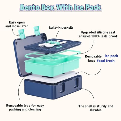 rockpapa Chill Bento Box for Kids- Large 5.5 Cups Lunch Box with Ice Pack - 5 Compartments, BPA-Free, Leak Proof, with Utensils & Portable Handle, Microwave/Dishwasher Safe (Blue Dinosaur) - color: Blue Dinosaur