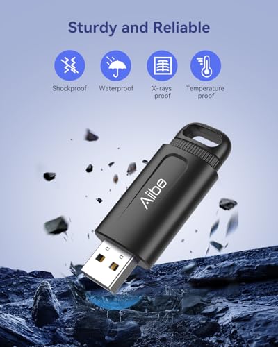 Aiibe 128GB USB Flash Drive 2 Pack - 128GB USB Stick Thumb Drive USB 2.0 Memory Stick with Keychain (Black and Red) - color: Black & Red(2-Pack), size: 128GB 2.0