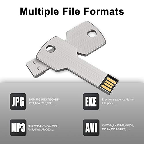 RAOYI 10 Pack 2GB USB Flash Drive USB 2.0 Metal Key Shape Memory Stick Thumb Drive Pen Drive-Silver - color: Silver, size: 2GB