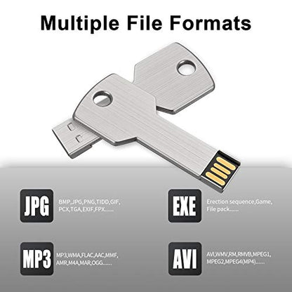 RAOYI 10 Pack 2GB USB Flash Drive USB 2.0 Metal Key Shape Memory Stick Thumb Drive Pen Drive-Silver - color: Silver, size: 2GB
