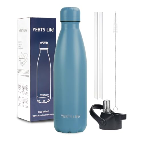 Insulated Water Bottle, 17oz Stainless Steel Water Bottles with straw lid, Metal Sports Water Bottles for Boys,Girls, Double Wall Vacuum BPA-Free Flask for School, Sports (Maya Blue) - color: 1 Pack-Maya Blue, size: 17 Ounces