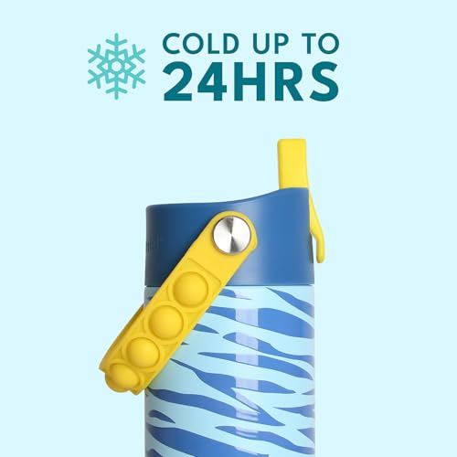 Elemental Insulated Kids Water Bottle, Stainless Steel Water Bottle with Straw Lid & Pop-It Handle, Leak-Proof Water Bottles for School, Boys or Girls, Travelling and Sports, 18oz - Spirit Tiger - color: Spirit Tiger