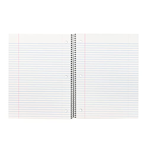 1-Subject Notebook, Wide Ruled, Blue, Case of 24 (22038-CT) - color: Blue