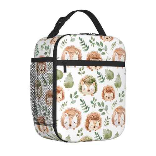 Insulated Lunch Box for Kids Boys Girls, Reusable Lunch Bag for School, Office, Work, Picnic, Travel, Cute Hedgehog Lunch Box - color: lunch box 81