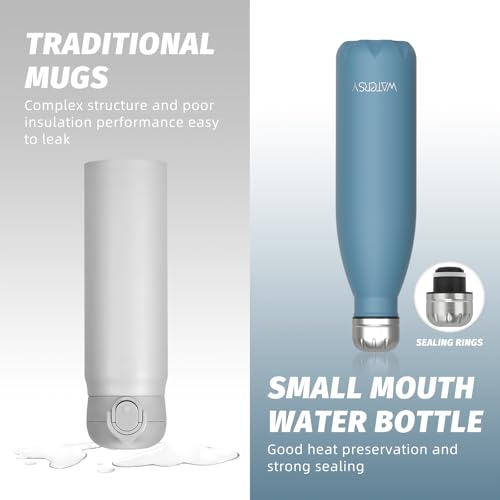 WATERSY Stainless Steel water bottles,17oz/500ml Insulated Water Bottles,Smog Blue metal water bottle Keeps Drink Cold and Hot,BPA Free kids water bottles for School,Gym,Travel,Sports - color: Smog Blue