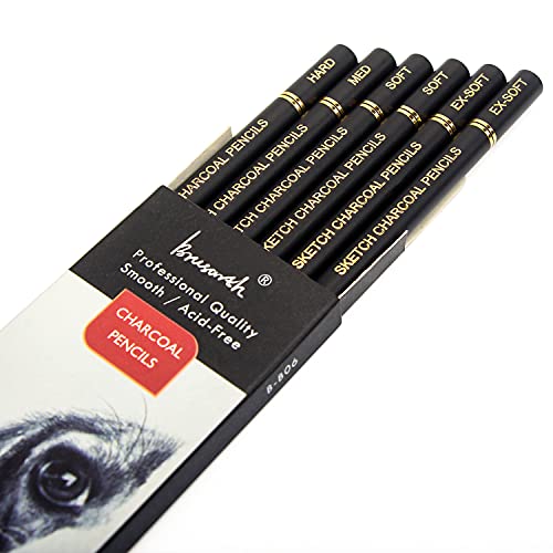 Brusarth Professional Charcoal Pencils Drawing Set - 6 Pieces Soft Medium and Hard Charcoal Pencils for Drawing, Sketching, Shading - color: Black
