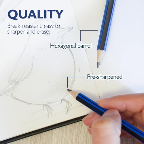 BAZIC #2B Premium Wood Pencil, Blue, 12 Per Pack (760-24P) | Softer #2B graphite for dark, bold lines, Wood barrel, fine point, shading, sketching, writing - size: 12 Count (Pack of 1)