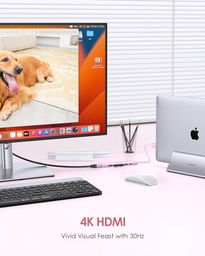 LENTION 6-in-1 USB C Hub, 4K@30Hz HDMI, 100W PD, 1 USB 3.0, 3 USB 2.0 | Ideal for Work & Study, Stable Driver 3.0 Certified, Compatible with macOS, iOS/iPadOS, Windows & ChromeOS (CH17, Rose Gold) - color: Rose Gold