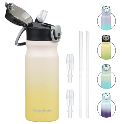 Konokyo 18 oz Insulated Stainless Steel Sports Water Bottle with Straw Lid | BPA-free, leak-proof reusable sports bottle with carry loop for gym, office, hiking, camping, travel & hydration - color: Lemon, size: 18 Ounces