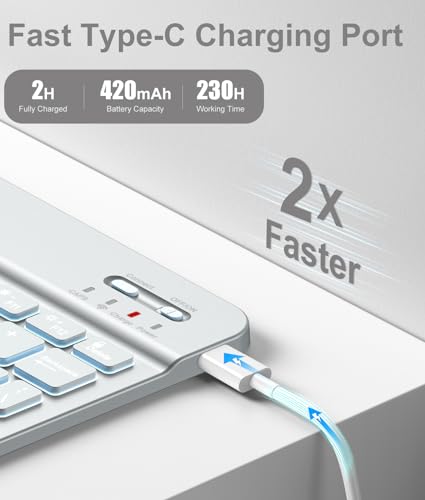 Hamile Keyboard Case for iPad 11th 10th Generation - 7 Colors Backlit Wireless Detachable Folio Keyboard Cover with Pencil Holder for iPad 11-inch A16 2025 10th Gen 10.9 Inch 2022 (Gray) - color: Gray