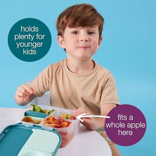 b.box Mini Lunch Box Kids | 4.25 Cup Leak Proof Bento Box for Kids Ages 3+ | 3 Compartment Snack Containers, School Lunch Container, Dishwasher Safe, BPA-Free, PFAS-Free - Indigo Rose - color: Indigo Rose, size: 1-pack