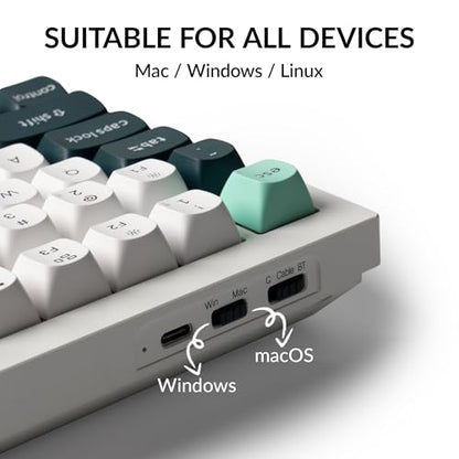 Keychron Q1 HE Wireless Custom Magnetic Keyboard, QMK Launcher | Rapid Trigger 2.4 GHz & Bluetooth 5.2 with Gateron Double-Rail Magnetic Switch for Mac Windows Linux (Hot-swappable) - White - color: White