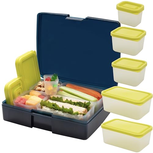 Bentology Bento Lunch Box with 5 Removable Containers – Includes Measurements for Portion Control – On-the-Go Meal and Snack Packing (Translucent Midnight) - color: Translucent Midnight