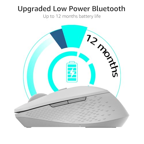 Rapoo M300G Silent Wireless Mouse, Bluetooth Mouse for Laptop, 2.4GHz with USB Receiver, 2400 Adjustable DPI Optical Tracking, 1 Year Battery Life, Compatible with PC, Grey - color: Light Grey