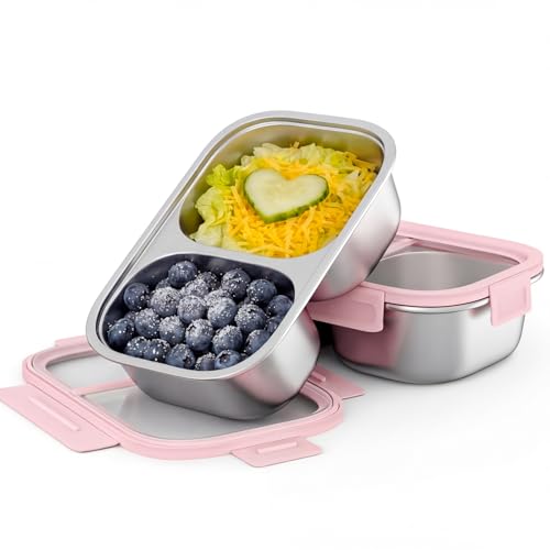 2 Pack 316 Stainless Steel Bento Box, 2-Compartment Microwave-Safe Metal Lunch Box, Leakproof Lunch Container for Work, On the Go (20oz/600ml Pink) - color: 2 pcs 20oz Pink