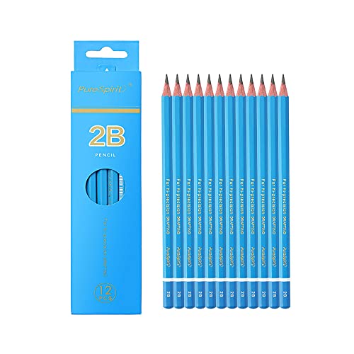 Sketch Pencils for Drawing 2B, 12pcs Professional Art Drawing Pencils for Shading, Sketching & Doodling | Graphite Pencil for Artists & Beginners - style: 2B 12pcs