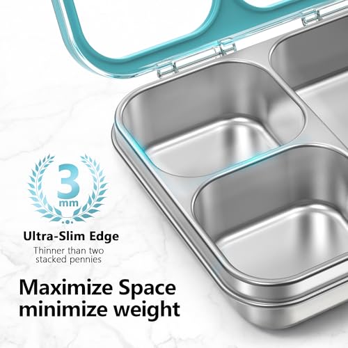 HOMEKOL Stainless Steel Bento Lunch Box 3-Compartment, 4.2Cups, Blue | Leak-Proof Metal Lunch Container for Kids & Adults, BPA-Free, Dishwasher Safe, Clear Tritan Lid, 1000ml (Not Insulated) - color: Blue, size: 34oz (1000ml)