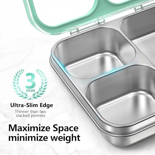 HOMEKOL Stainless Steel Bento Lunch Box 3-Compartment, 4.2Cups, Green | Leak-Proof Metal Lunch Container for Kids & Adults, BPA-Free, Dishwasher Safe, Clear Tritan Lid, 1000ml (Not Insulated) - color: Green, size: 34oz (1000ml)